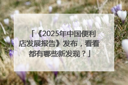 《2025年中国便利店发展报告》发布，看看都有哪些新发现？