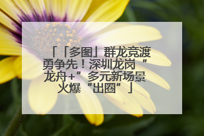 「多图」群龙竞渡勇争先！深圳龙岗“龙舟+”多元新场景火爆“出圈”
