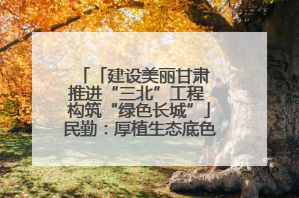 「建设美丽甘肃 推进“三北”工程 构筑“绿色长城”」民勤：厚植生态底色 筑牢绿色屏障