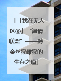 「我在无人区⑧」“温情联盟”——黔金丝猴雌猴的生存之道