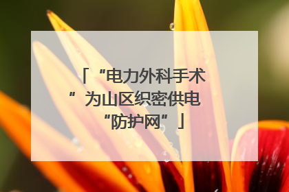 “电力外科手术”为山区织密供电“防护网”