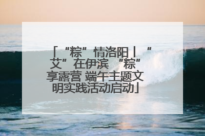 “粽”情洛阳丨“艾”在伊滨 “粽”享露营 端午主题文明实践活动启动