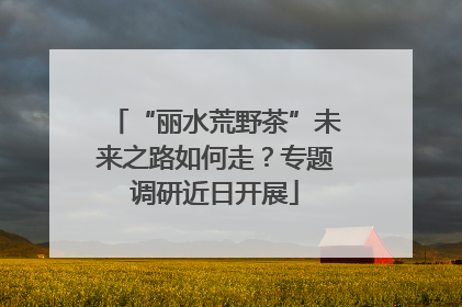 “丽水荒野茶”未来之路如何走？专题调研近日开展