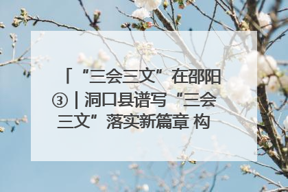 “三会三文”在邵阳③｜洞口县谱写“三会三文”落实新篇章 构建协同联动大格局