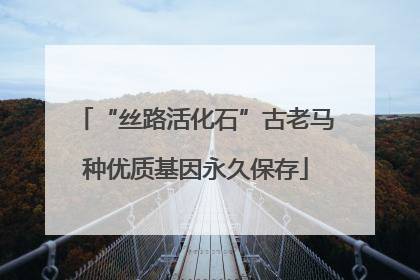 “丝路活化石”古老马种优质基因永久保存