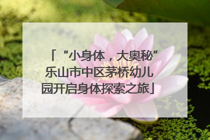 “小身体，大奥秘” 乐山市中区茅桥幼儿园开启身体探索之旅