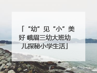 “幼”见“小”美好 峨眉三幼大班幼儿探秘小学生活