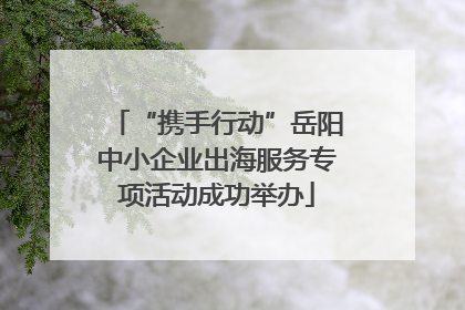 “携手行动”岳阳中小企业出海服务专项活动成功举办