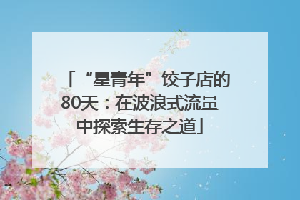 “星青年”饺子店的80天：在波浪式流量中探索生存之道