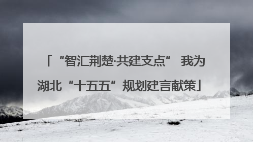 “智汇荆楚·共建支点” 我为湖北“十五五”规划建言献策