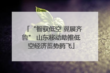 “智驭低空 翼展齐鲁” 山东移动助推低空经济蓄势腾飞
