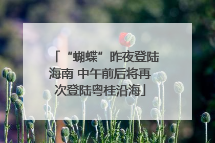 “蝴蝶”昨夜登陆海南 中午前后将再次登陆粤桂沿海