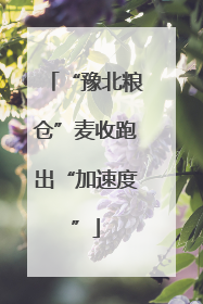 “豫北粮仓”麦收跑出“加速度”