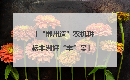 “郴州造”农机耕耘非洲好“丰”景
