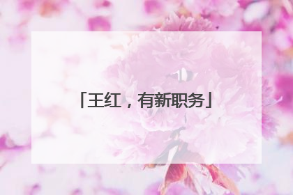 王红，有新职务