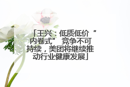 王兴：低质低价“内卷式” 竞争不可持续，美团将继续推动行业健康发展