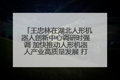 王忠林在湖北人形机器人创新中心调研时强调 加快推动人形机器人产业高质量发展 打造具有全国影响力的研发创新基地