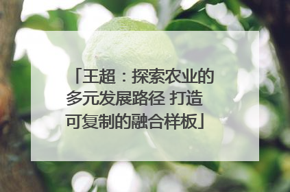 王超：探索农业的多元发展路径 打造可复制的融合样板