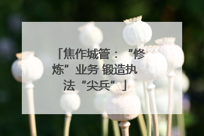 焦作城管：“修炼”业务 锻造执法“尖兵”