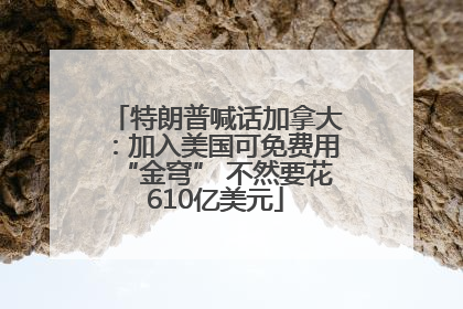 特朗普喊话加拿大：加入美国可免费用“金穹” 不然要花610亿美元