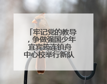 牢记党的教导，争做强国少年 宜宾筠连镇舟中心校举行新队员入队仪式
