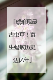 琥珀现最古虫草！寄生蚂蚁历史达亿年