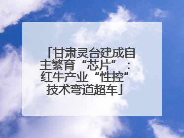 甘肃灵台建成自主繁育“芯片”：红牛产业“性控”技术弯道超车