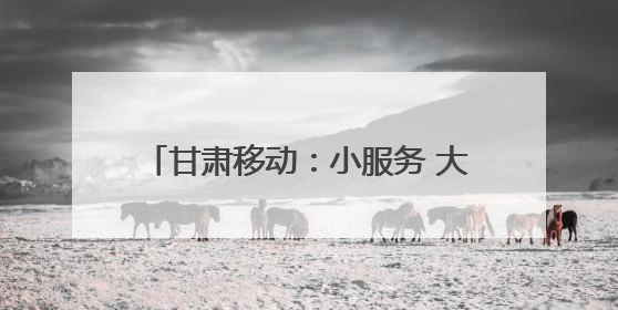 甘肃移动：小服务 大情怀 你的“习以为常”便是他们的满分答案