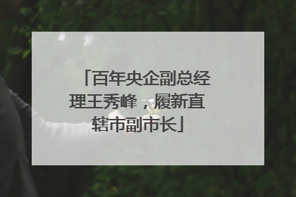 百年央企副总经理王秀峰，履新直辖市副市长