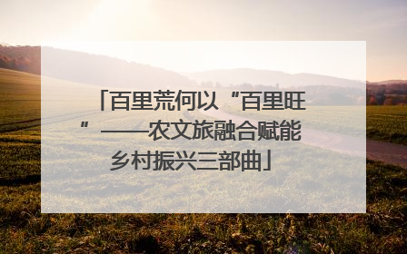 百里荒何以“百里旺”——农文旅融合赋能乡村振兴三部曲