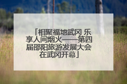 相聚福地武冈 乐享人间烟火——第四届邵阳旅游发展大会在武冈开幕