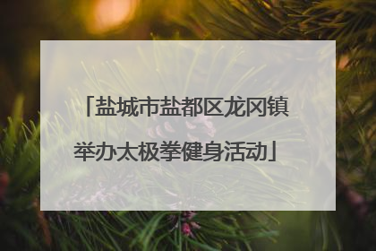 盐城市盐都区龙冈镇举办太极拳健身活动