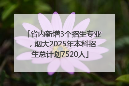 省内新增3个招生专业，烟大2025年本科招生总计划7520人