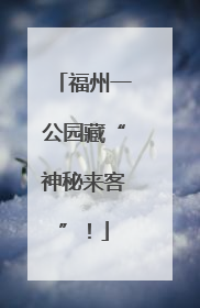 福州一公园藏“神秘来客”！