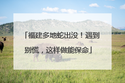 福建多地蛇出没！遇到别慌，这样做能保命