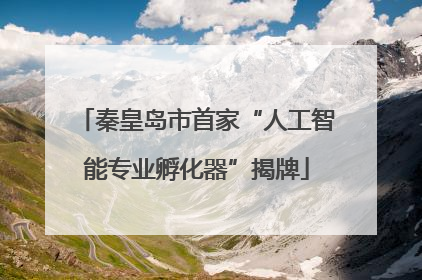 秦皇岛市首家“人工智能专业孵化器”揭牌