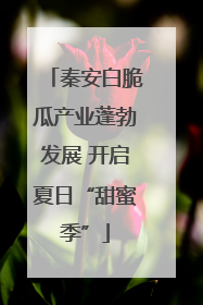 秦安白脆瓜产业蓬勃发展 开启夏日“甜蜜季”