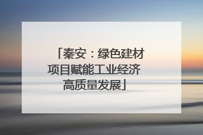 秦安：绿色建材项目赋能工业经济高质量发展