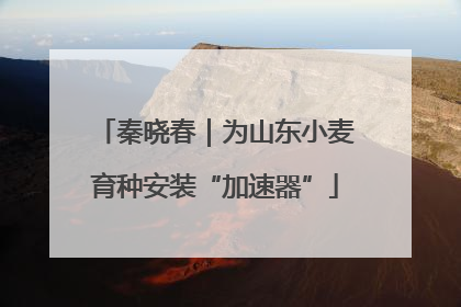 秦晓春｜为山东小麦育种安装“加速器”