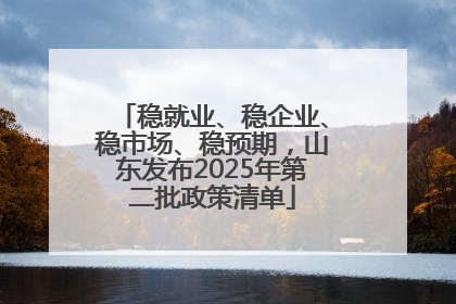 稳就业、稳企业、稳市场、稳预期，山东发布2025年第二批政策清单