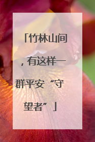 竹林山间，有这样一群平安“守望者”