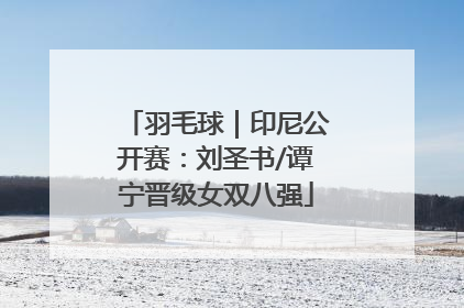 羽毛球｜印尼公开赛：刘圣书/谭宁晋级女双八强