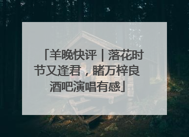 羊晚快评｜落花时节又逢君，睹万梓良酒吧演唱有感