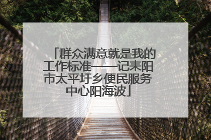 群众满意就是我的工作标准——记耒阳市太平圩乡便民服务中心阳海波