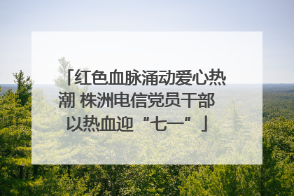 红色血脉涌动爱心热潮 株洲电信党员干部以热血迎“七一”