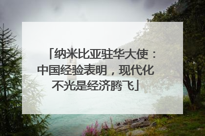纳米比亚驻华大使：中国经验表明，现代化不光是经济腾飞