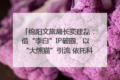 绵阳文旅局长窦建磊：借“李白”IP破圈、以“大熊猫”引流 依托科技优势绽放城市文旅魅力｜文旅局长说