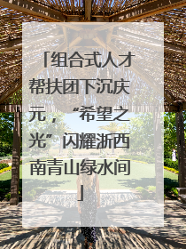 组合式人才帮扶团下沉庆元，“希望之光”闪耀浙西南青山绿水间