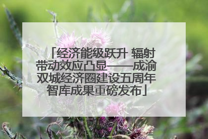 经济能级跃升 辐射带动效应凸显——成渝双城经济圈建设五周年智库成果重磅发布