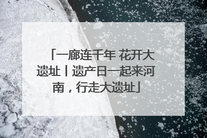 一廊连千年 花开大遗址丨遗产日一起来河南，行走大遗址